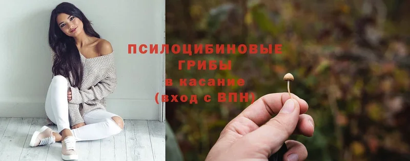 Где купить Богданович Канабис  Псилоцибиновые грибы  Cocaine  A-PVP  omg рабочий сайт  Мефедрон  ГАШ 